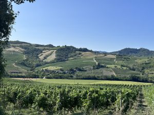 On the Wine Trail in Italy: Reflections on Italy ~ Regarding La Grande  Bellezza